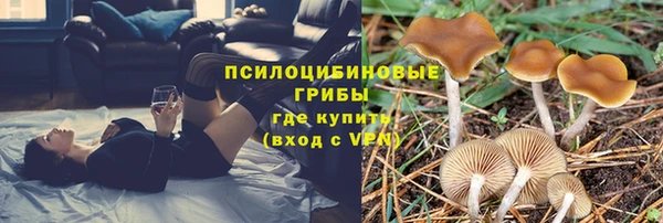 дмт Горно-Алтайск