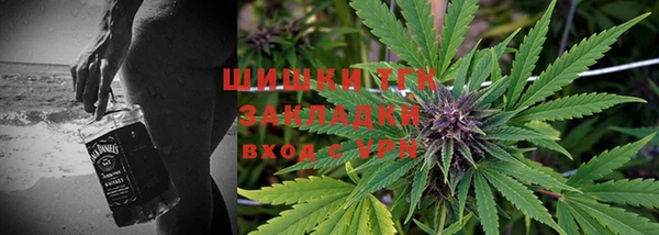 дмт Горно-Алтайск