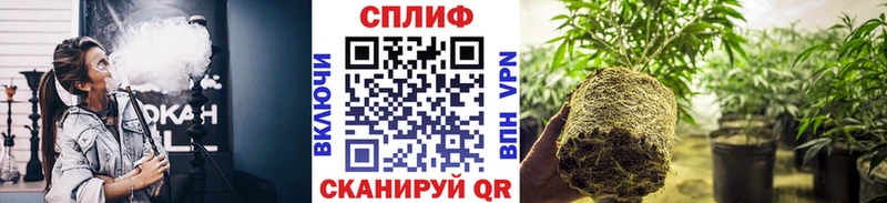 что такое наркотик  Давлеканово  Бошки Шишки конопля 